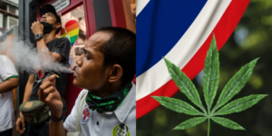 weed in thailand tourist