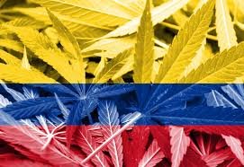 Cannabis Colombia