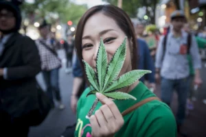 weed in japan
