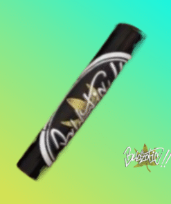 Rainbow Beltz Prerolls