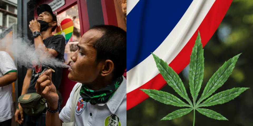 weed in thailand tourist