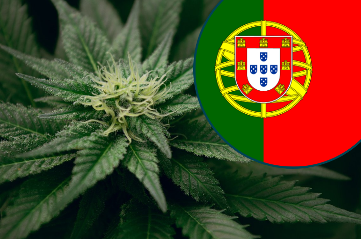 weed in portugal tourist